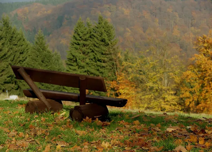 Hotel Drei Kronen Frauenwald